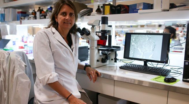 Científica argentina va a show de TV para financiar investigación del cáncer