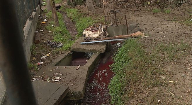 Ate Vitarte: investigan posible contaminación en aguas del río Surco