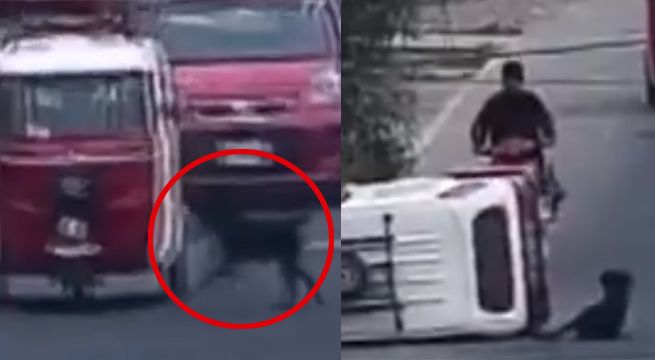 Perro embiste a una mototaxi y termina por voltearla en la pista [VIDEO]