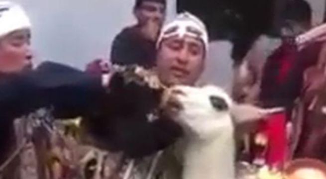 Danzantes que obligaron a beber cerveza a llama se pronunciaron tras denuncia redes sociales