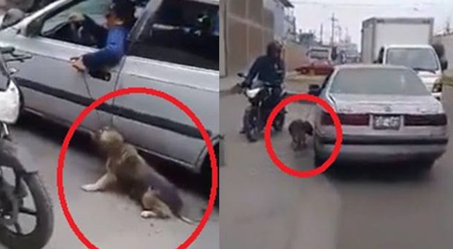 Santa Anita: Sujeto maltrata a perro atando soga a su cuello y arrastrándolo con su auto [Video]