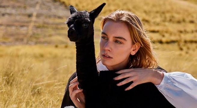 Grupo Inca lanza colección Black Alpaka: Prendas hechas en alpaca negra natural