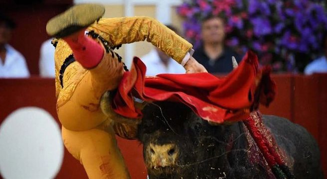 Torero peruano Joaquín Galdós recibió grave cornada en Francia