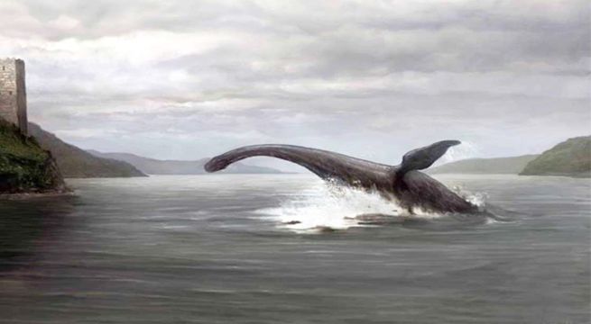Estudios revelan la verdadera especie del monstruo del lago Ness [VIDEO]
