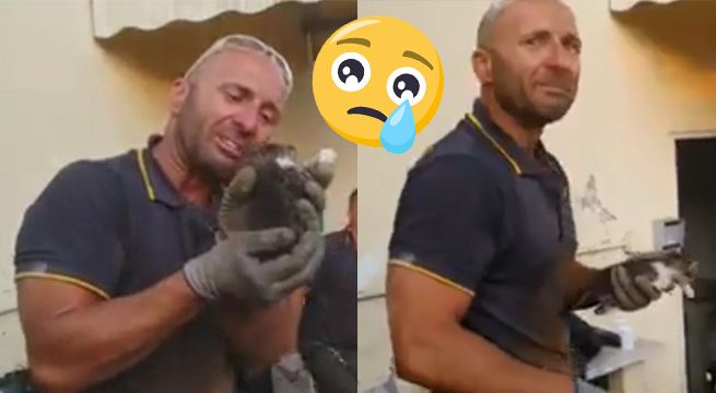 Bombero rompe en llanto luego de rescatar gatitos y conmueve las redes [VIDEO]