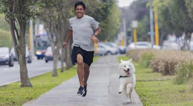 Mascotón 2019: Participa gratis con tu perro en esta gran carrera