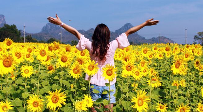 Consejos astrológicos para recibir y pasar la primavera con las mejores energías positivas