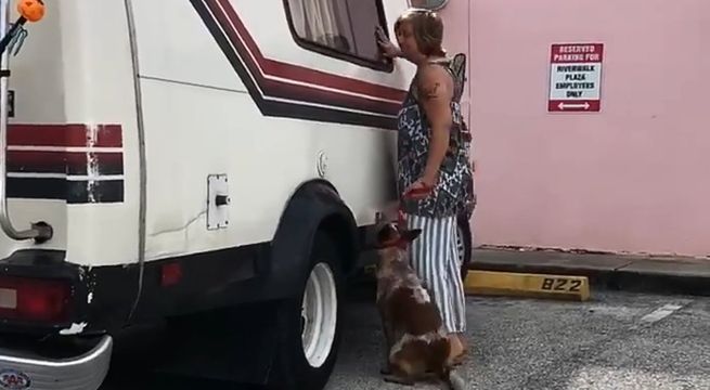 Mujer queda detenida luego de maltratar a su perro en la vía pública [Video]