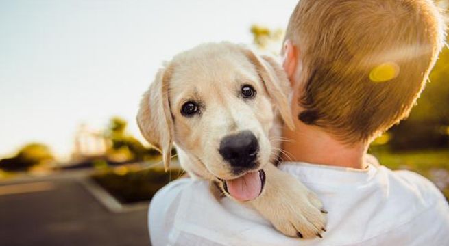 Día Mundial de los Animales: ¿Por qué se celebra cada 4 de octubre?