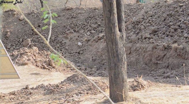 ¿Dónde está el leopardo? El reto viral que intriga a los usuarios en las redes sociales