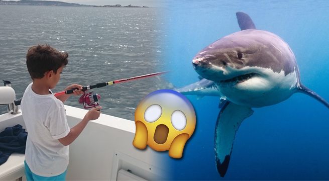 Llevó de pesca a su hijo de 8 años y este atrapó un tiburón de 314 kilos [FOTO]