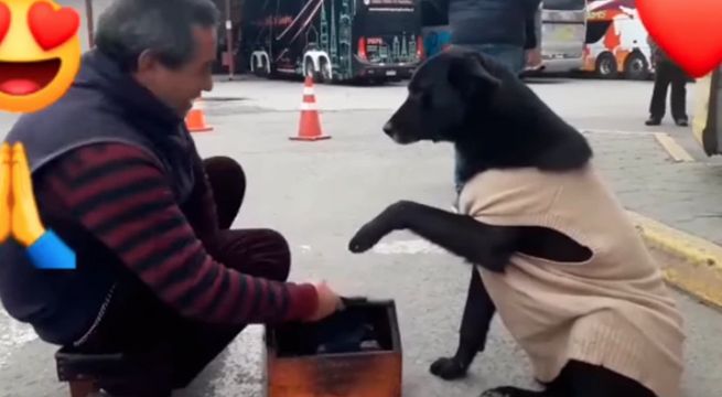 Perrito callejero le pidió a un lustrabotas que le 'limpie' las patas [VIDEO]