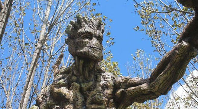 Cusco: Esculturas de 'Groot' impresionan al director de 'Guardianes de la Galaxia'