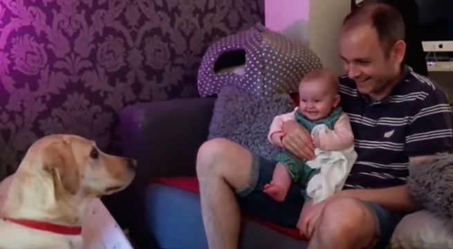 Bebé no puede contener la risa al ver lo que hace su perro