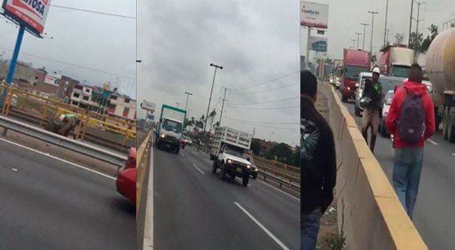 Policías héroes salvan a perrito en la Panamericana Sur (Video)