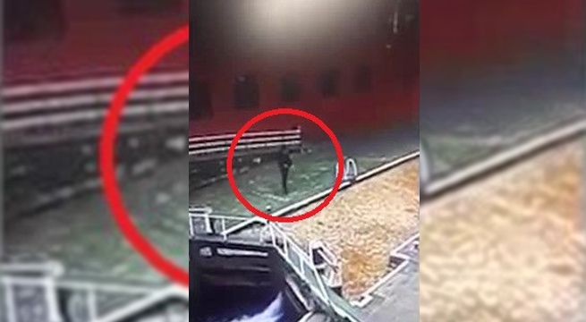 Camina distraído mirando su celular y va directo hacia un canal de regadío (Video)