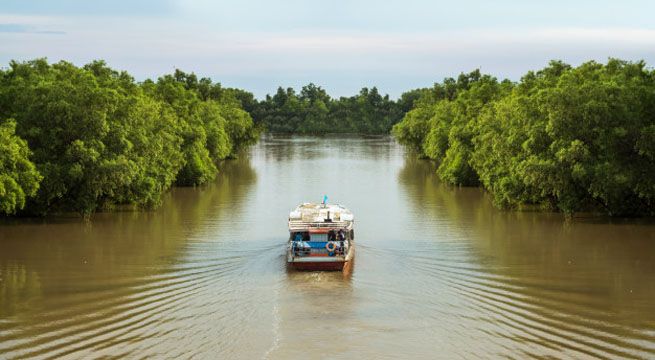 Poder Judicial contará con Observatorio Ambiental
