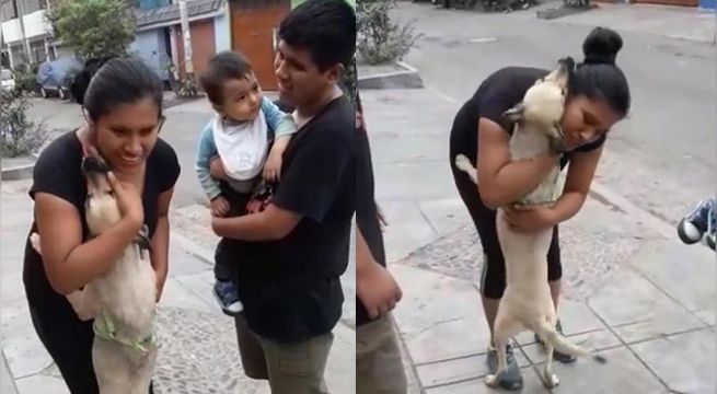 Reencuentro entre perrita perdida y su familia conmueve a miles en las redes sociales (Video)