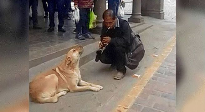 Músico callejero y su perro sorprenden con espectáculo en Plaza del Cusco (Video)