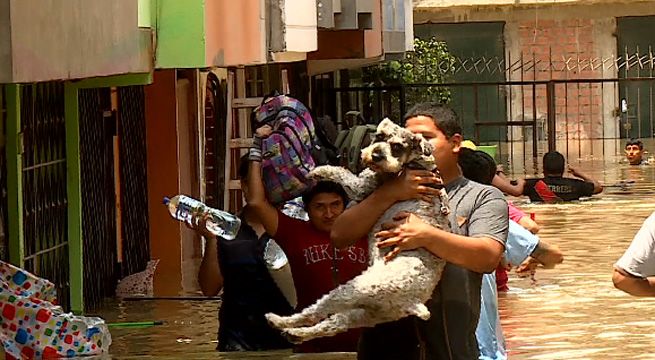 San Juan de Lurigancho: el drama de las familias afectadas por inundación