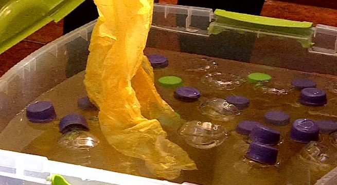 ¡Alerta!: 'refrescos de la muerte' contienen 130 mil bacterias y hongos