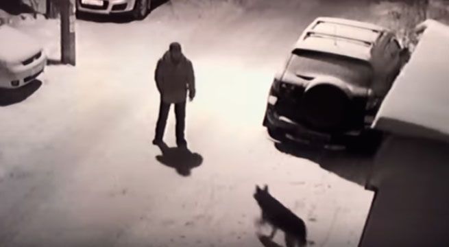 YouTube: hombre patea a perro pero obtiene su merecido