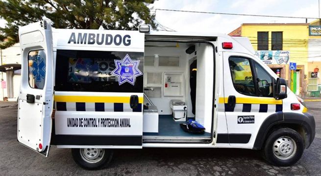 Lanzan el 'ambudog': la primera ambulancia gratuita para perros y gatos de la calle