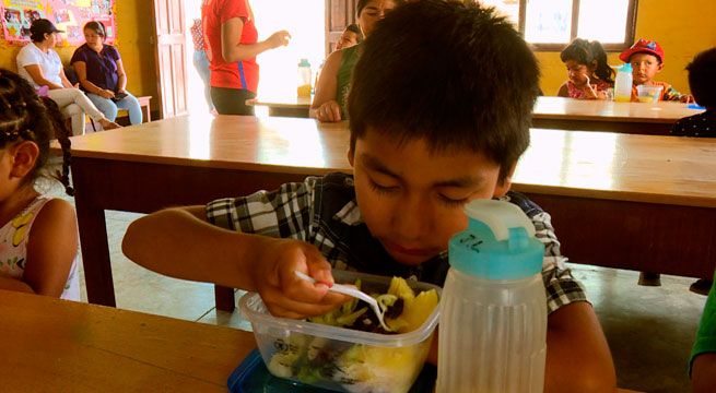 ONU se une a lucha contra la anemia: 43,6% de niños entre 0 a 3 años en el Perú padece esta afección