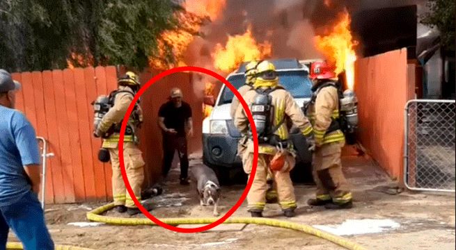 Hombre ingresa a casa en llamas para salvar a su perro [Video]