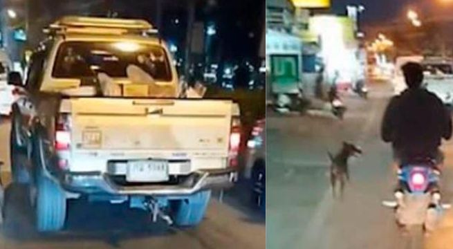 Perro es abandonado por sus dueños y corre detrás de su camioneta [Video]