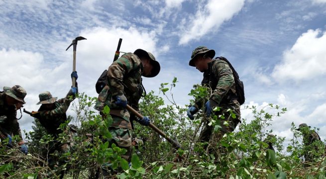 Al menos dos muertos en Perú deja operativo de erradicación de hoja de coca