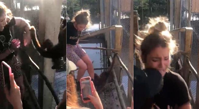 Flavia Laos fue atacada por mono en zoológico de Iquitos [Video]