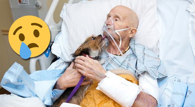 Estaba a punto de morir y pidió ver a su perro como último deseo [FOTOS]
