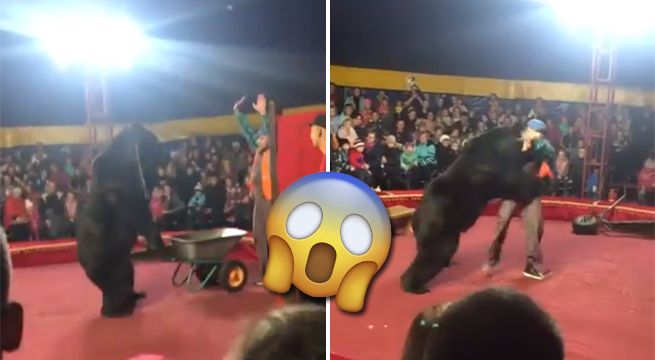 Un oso ataca a su domador en plena función de circo [VIDEO]