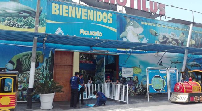 Comas: clausuran Acuario Nautilus por incumplir medidas de seguridad