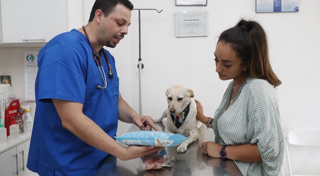 Mascotas en verano: ¿cuál es mejor, comida natural o comida procesada?