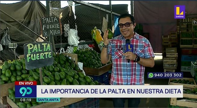 BENEFICIOS DE LA PALTA EN LA GASTRONOMIA, ENLACE CON ADOLFO BOLIVAR
