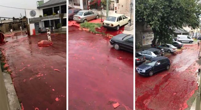 Calles de un barrio argentino son inundadas por casi 5 mil litros de sangre [VIDEO]