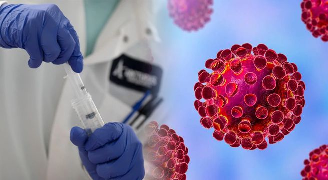 ¿Cuándo podría estar lista la vacuna contra el coronavirus?