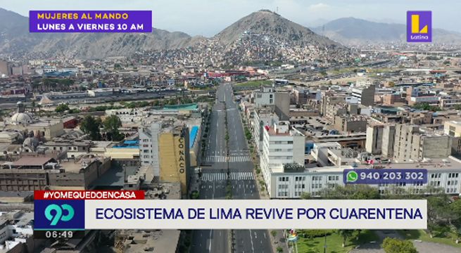 Ecosistema de Lima revive gracias a la cuarentena por coronavirus [VIDEO]