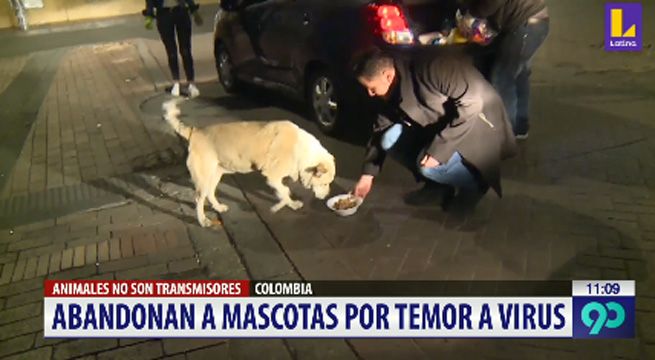 Abandonan a mascotas por temor a contagiarse de coronavirus