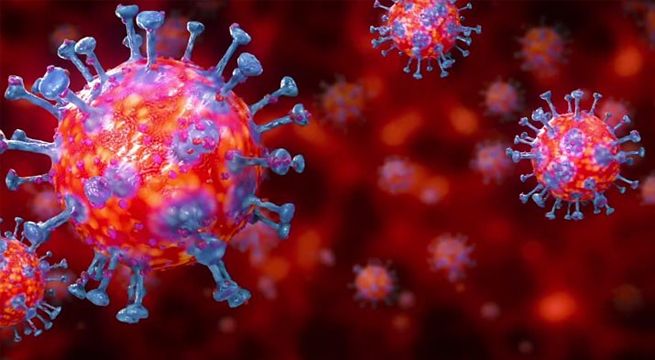 Descubren un fármaco capaz de bloquear al coronavirus cuando busca infectar nuevas células
