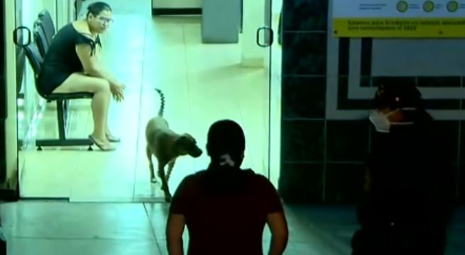 Independencia: detienen a mujer por comprar en bodega durante toque de queda [VIDEO]