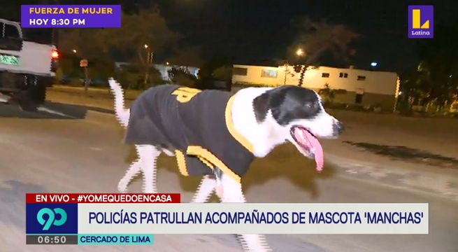 Conoce a ‘Manchas’, un perrito callejero que se convirtió en policía