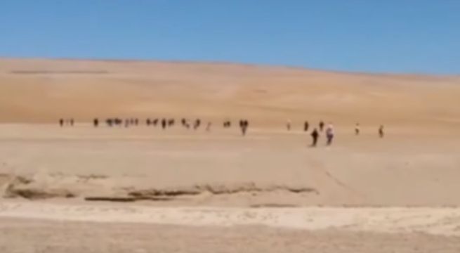 Tacna: peruanos procedentes de Arica entraron caminando al país {VIDEO]