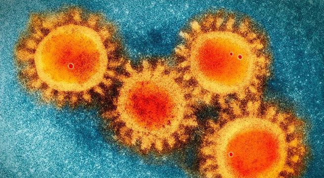 Experto italiano asegura que el coronavirus es cada vez menos agresivo y pronto desaparecerá