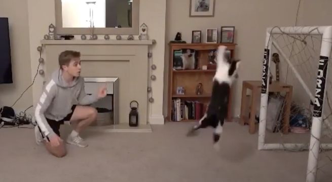 Gato demuestra sus habilidades en el arco y muchos lo comparan con Manuel Neuer