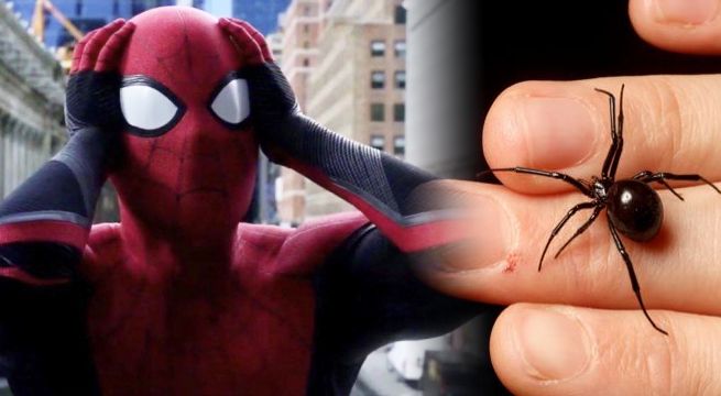 Quisieron convertirse en Spider-Man y hacen que les pique una peligrosa araña venenosa