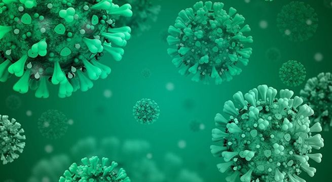 Sangre de pacientes con Covid-19 podría predecir la gravedad de la enfermedad