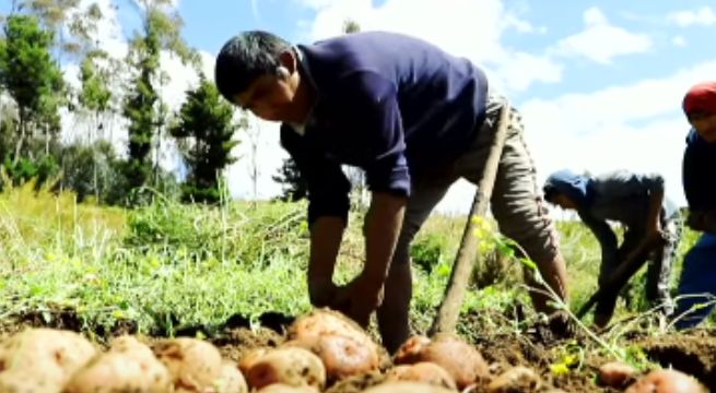 Gobernador de Apurímac: 